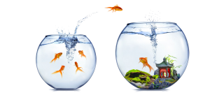 Cognos Migration Cognos Migration